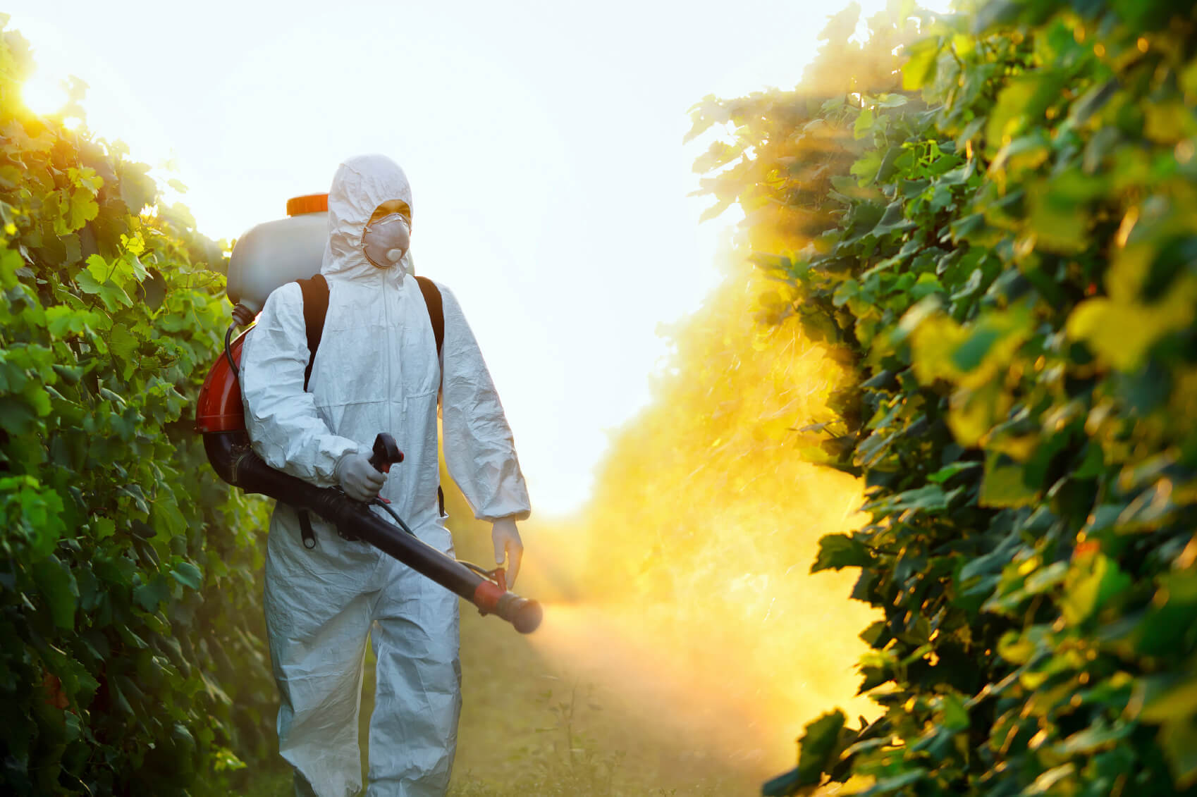 "pesticide"的图片搜索结果